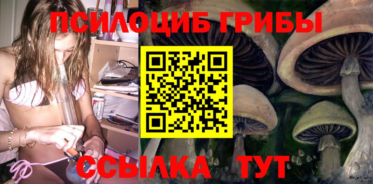Псилоцибиновые грибы Cubensis  Псилоцибиновые грибы Cubensis  Фурманов  Вход с VPN 